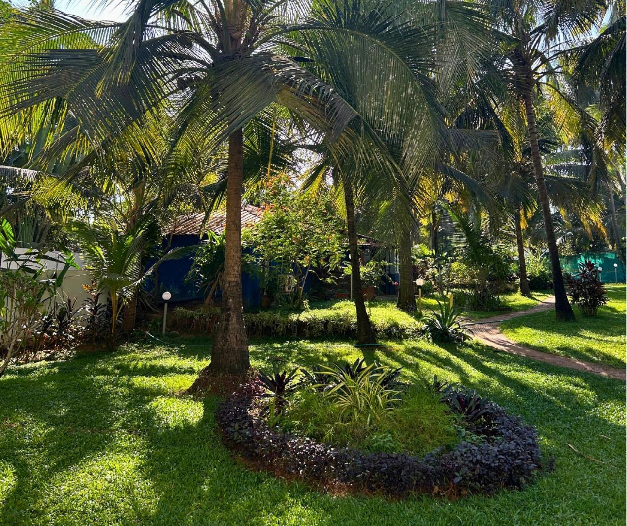 Jungle Hut-Annabelle'S Beach Apartments At Bernard Simao,Calangute,Goa Candolim Ngoại thất bức ảnh
