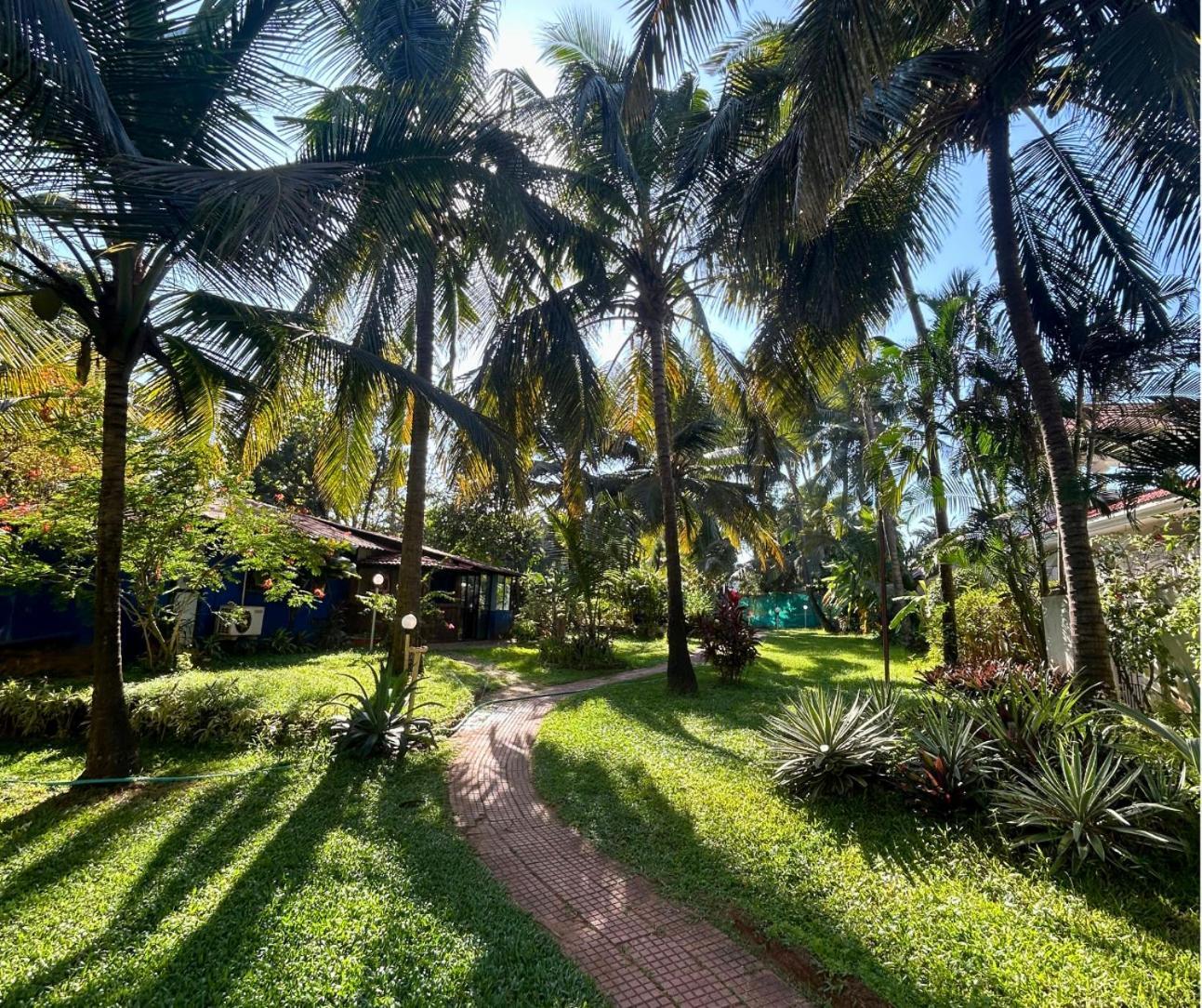 Jungle Hut-Annabelle'S Beach Apartments At Bernard Simao,Calangute,Goa Candolim Ngoại thất bức ảnh